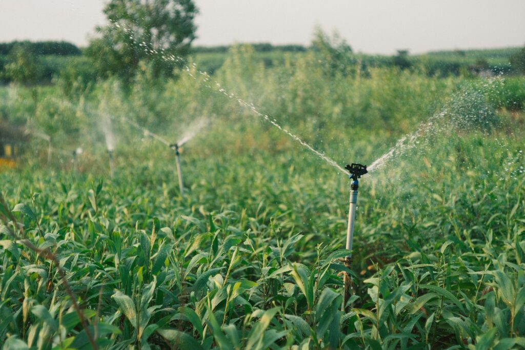 fertirrigacion agrointeligente