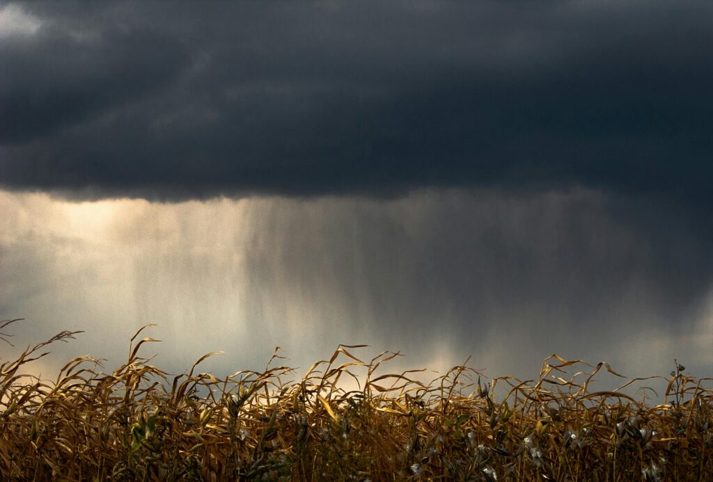 lluvia agrointeligente