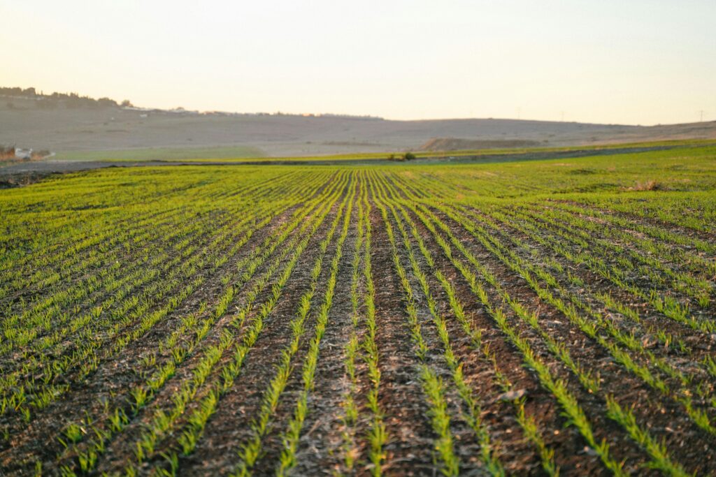 suelo2 agrointeligente