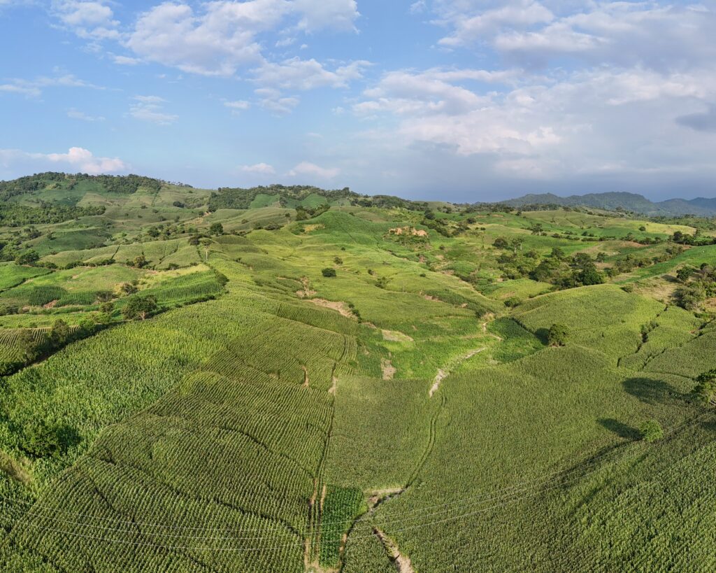 teledeteccion_agrointeligente